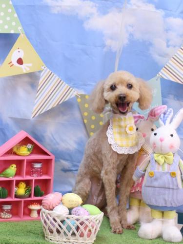 20240328菜々歌ちゃん